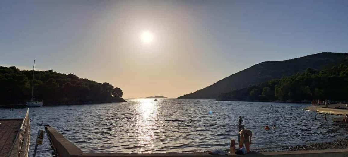 Sunshine Apartment Sovlje ตรีบูนย์ ภายนอก รูปภาพ